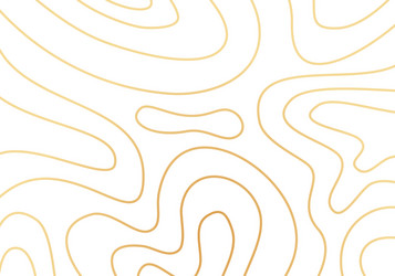 Topographic map patterns abstract pattern Vector Image