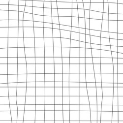 wavy abstract grid pattern in black thin lines vector image