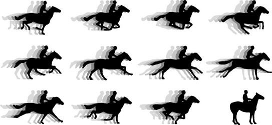 Running Horses Silhouettes Vector Image