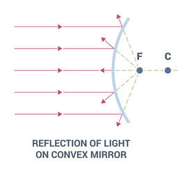 reflection of light on a convex mirror in various vector image