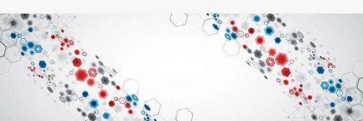 abstract hexagon background with plexus effect vector image