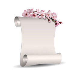 Spring floral banner with scroll empty blank paper vector