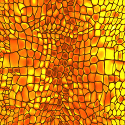 Scales & Patterns - Reptile Texture vector image