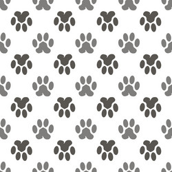 Seamless Paw Print Pattern Vector Image