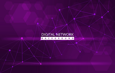 hexagon digital network connection internet vector