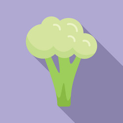 Broccoli cabbage icon flat food vector