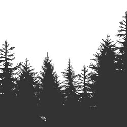 Vintage pine forest Royalty Free Vector Image - VectorStock