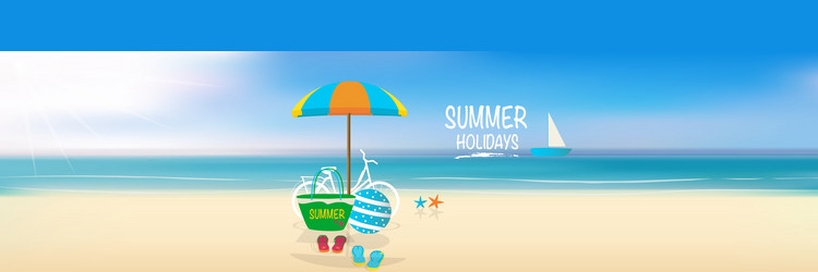 summer holiday background vector