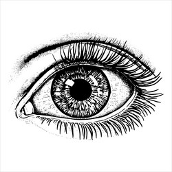 Hand drawn eye Royalty Free Vector Image - VectorStock