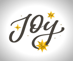 joy text written with an elegant typography vector