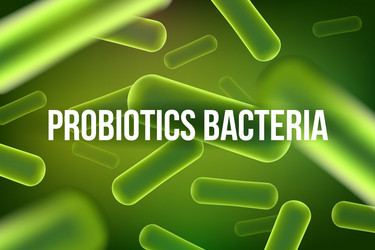 Creative of probiotics vector