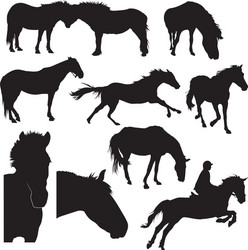 Equine Silhouettes - Animal Forms Vector Image