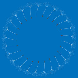 abstract frame of a dandelion for design vector image
