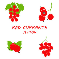 flat red currants icons set vector