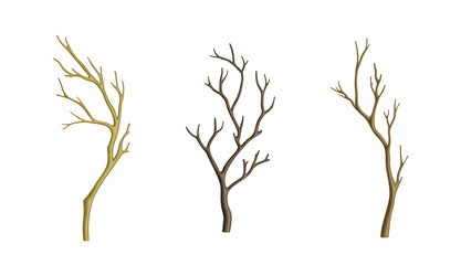 Leafless Tree Cartoon Vector Images (over 120) Leafless Tree Cartoon Vector Images (over 120)