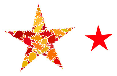 Fall Star Vector Images (over 38,000)