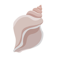 Seashell isolated on white background Royalty Free Vector