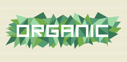 trendy abstract geometric design vector image