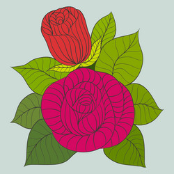rose flower drawing Vector Image