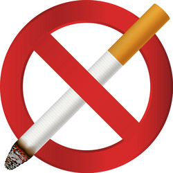 No smoking cigarette icon realistic style vector