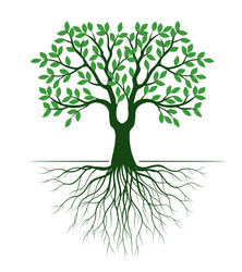 shape of green tree with leaves and roots vector