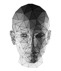 female head polygonal 3d design vector