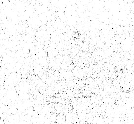 Ink Splatter Grunge Texture Vector Image