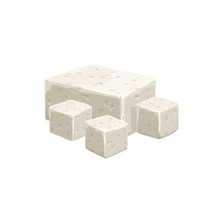 cubes feta cheese milk or soybeans isolated vector