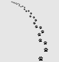 Cat Paw Print Trail Vector Image