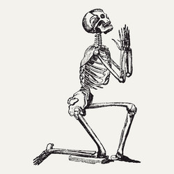 Praying Skeleton Vector Images (over 120)