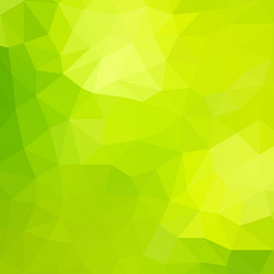Abstract triangle geometrical background vector