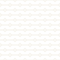 abstract geometric lines lattice pattern seamless vector image