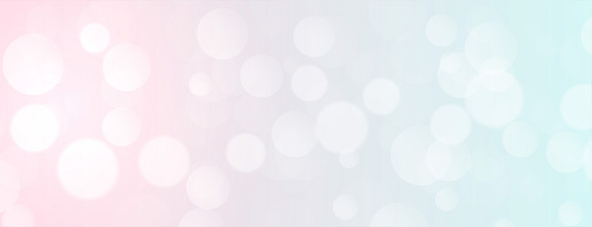 elegant soft color bokeh banner with text space vector image