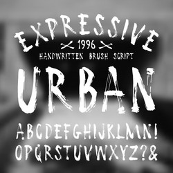 Rustic Brush Script Font vector image
