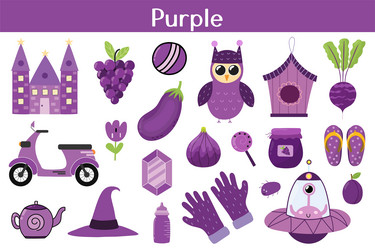 purple color objects set learning colors for kids vector