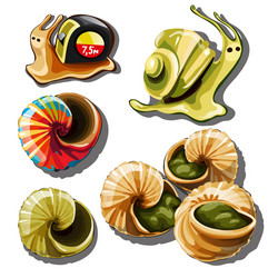 Set of objects on the subject snails vector