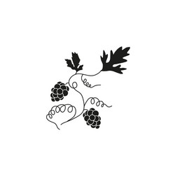 Black silhouette of grapes on the vine Royalty Free Vector