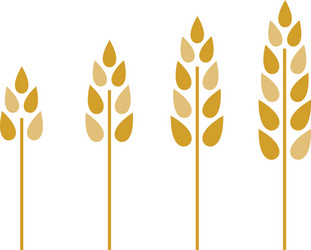 Agriculture wheat set farming windmill ears vector