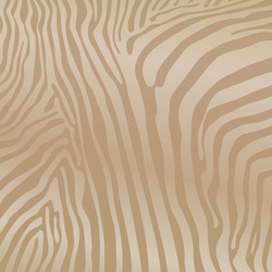 savannah pattern background design elements zebra vector image