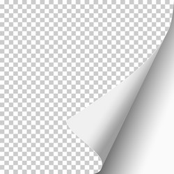 sheet of white paper with curled corner vector image