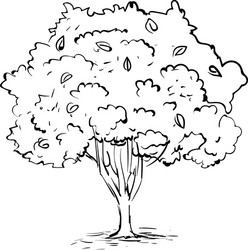 Tree drawing on white background vector