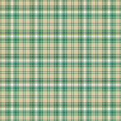 customized check pattern string tartan background vector image