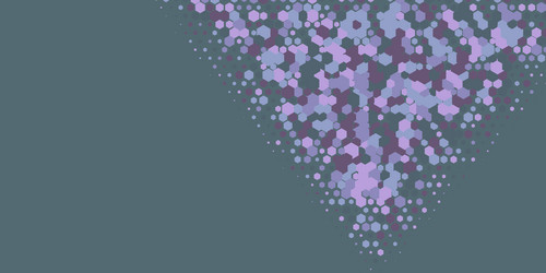 geometric multi size hexagon with color vector