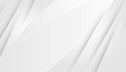 abstract white and grey background with dynamic vector image