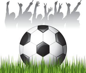 football soccer Vector Image