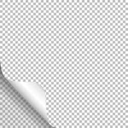 Page curl with shadow on blank sheet of paper vector