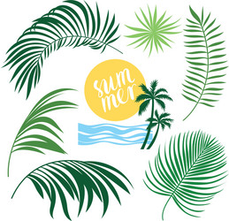 Tropical Leaf Collection Vector Image