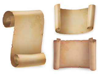 Parchment paper scroll manuscripts rolls sketch Vector Image