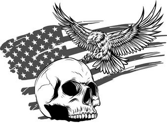 Skull with American Flag Vector Image