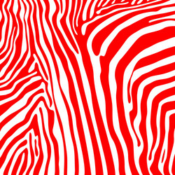 savannah pattern background design elements zebra vector image